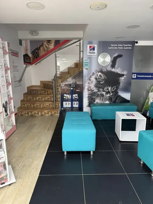 Sala de espera de la clínica veterinaria Manyi